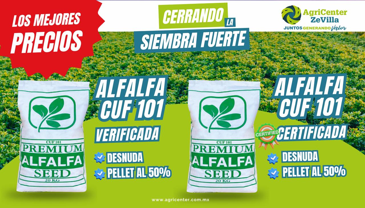 Agrienter Zevilla