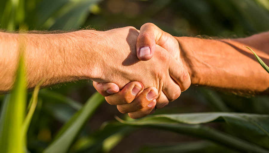 Agricenter Zevilla - Asesoría Técnica en méxico