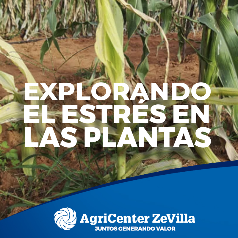 Explorando el Estrés en las Plantas