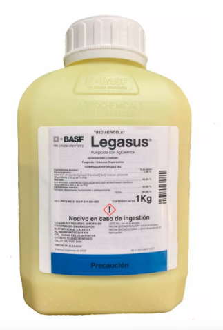 Legasus ®