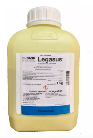 Legasus®