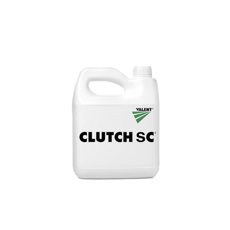Clutch SC®