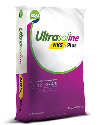 Ultrasol®ine NKS + Plus