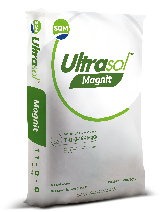 Ultrasol® Magnit