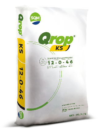 Qrop® KS – México