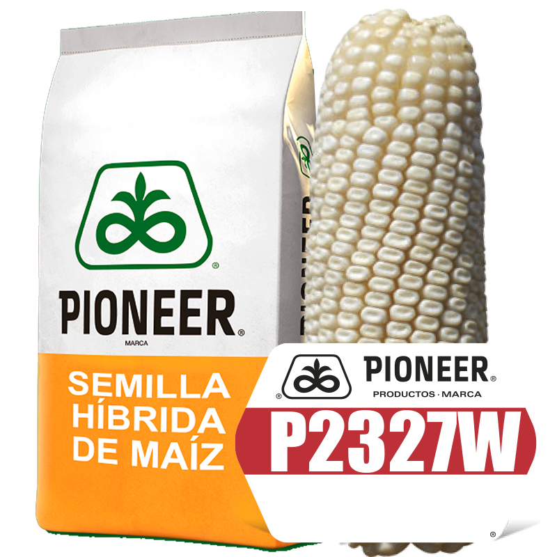 P2327W Semilla de Maíz