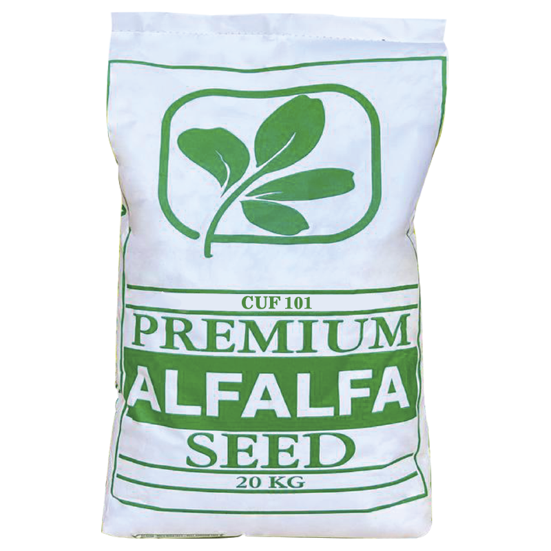 Alfalfa CUF 101