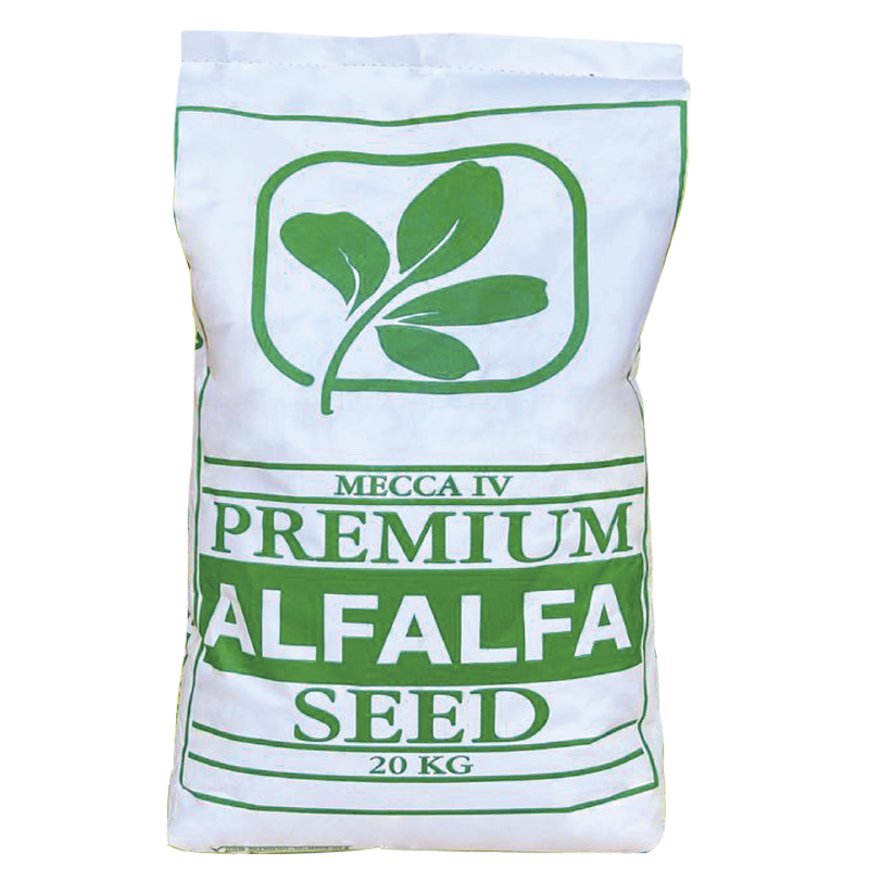 Alfalfa Mecca IV CERTIFICADA/DESNUDA CON TRATAMIENTO